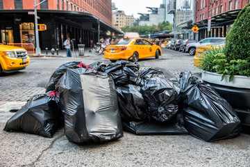Different Types of Trash Pickup Services
